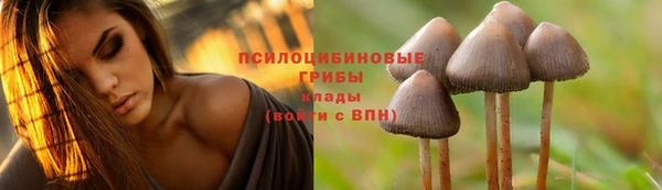 первитин Алзамай